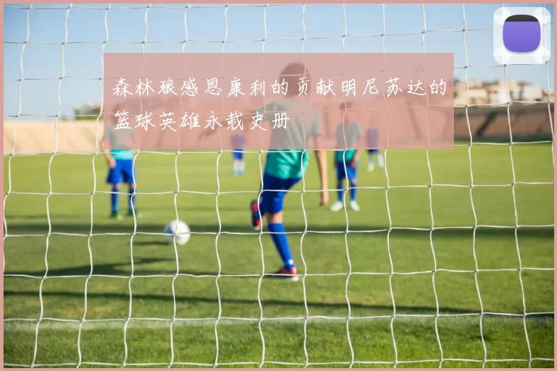森林狼感恩康利的贡献明尼苏达的篮球英雄永载史册