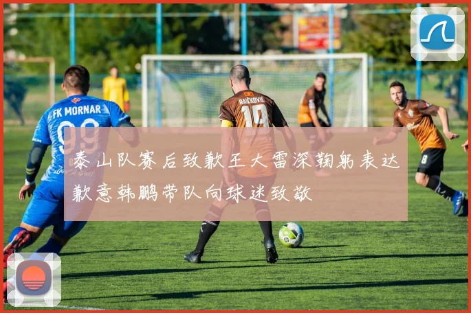 泰山队赛后致歉王大雷深鞠躬表达歉意韩鹏带队向球迷致敬