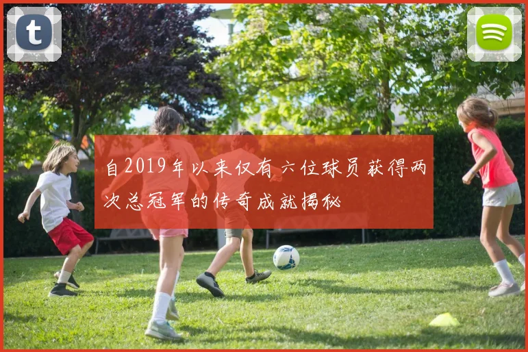 自2019年以来仅有六位球员获得两次总冠军的传奇成就揭秘
