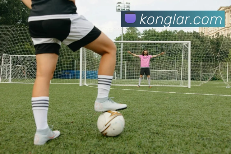 企业概况